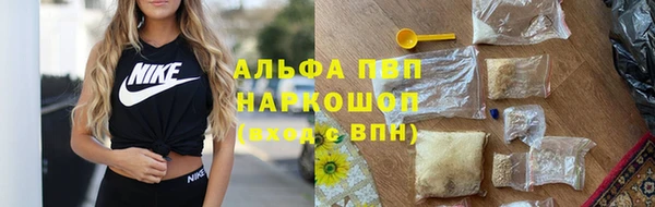 дмт Дмитров