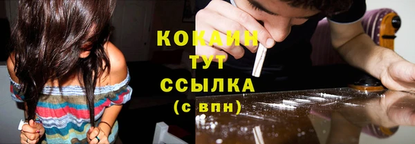 мет Дмитриев