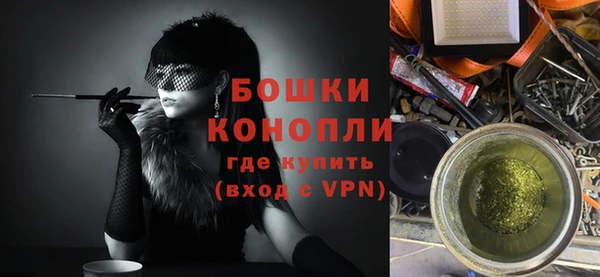 дмт Дмитров