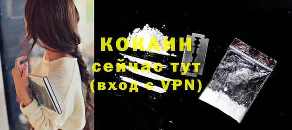 дмт Дмитров