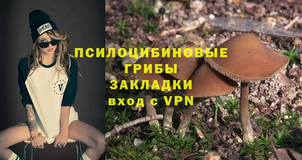 метамфетамин Ельня