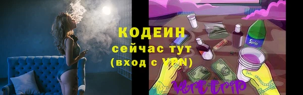 гидропоника Елабуга