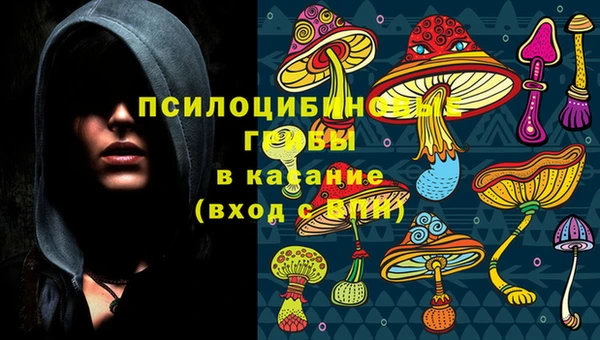 гидропоника Елабуга