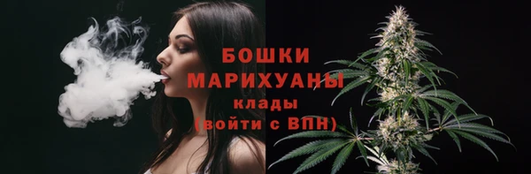 дмт Дмитров