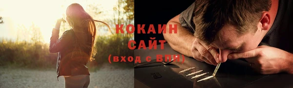метамфетамин Ельня