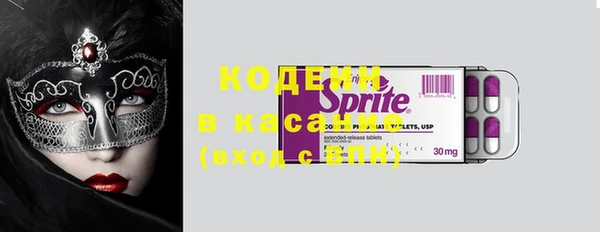 дмт Дмитров