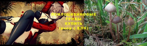 гидропоника Елабуга
