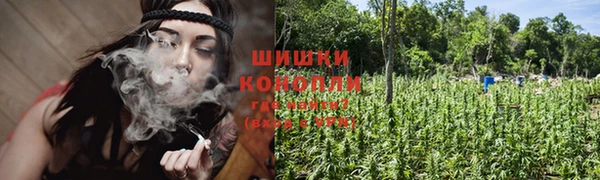 стафф Дмитровск